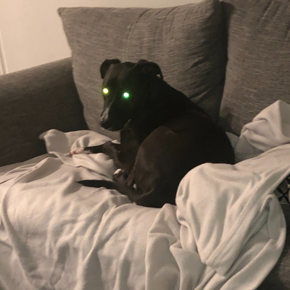 Meet your Posher, Andrea - Picture 6 of 9